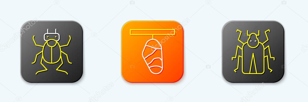 Set line Beetle bug Butterfly cocoon and  icon. Vector.