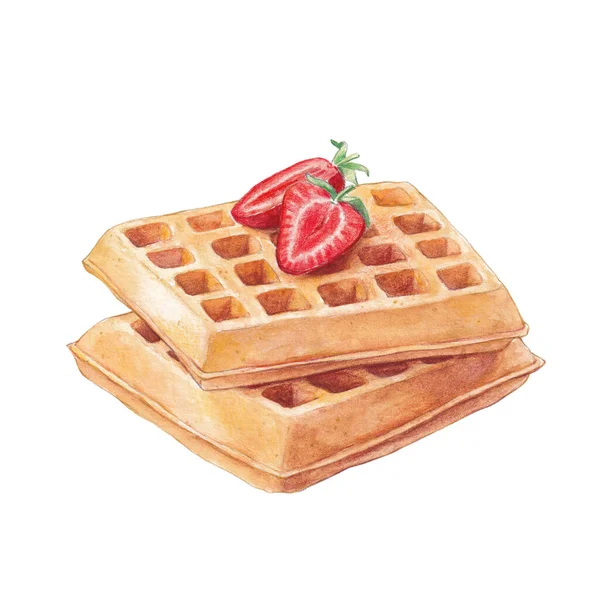 Watercolor Waffles Strawberry White — Stock Photo, Image