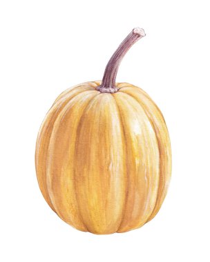 Suluboya sarı balkabağı çizimi, sonbahar kartı