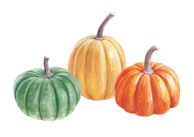 Suluboya sarı, turuncu ve yeşil balkabağı, sonbahar kartı