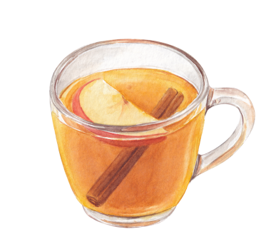 Tarçın çubuklu suluboya elma şarabı ve cam bardakta elma dilimi. Sonbahar sıcak içeceği