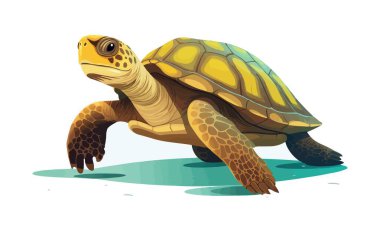 İzole edilmiş arkaplan çiziminde kaplumbağa izole edilmiş vektör biçimi