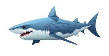 İzole edilmiş arkaplan resimlerinde köpekbalığı izole edilmiş vektör biçimi