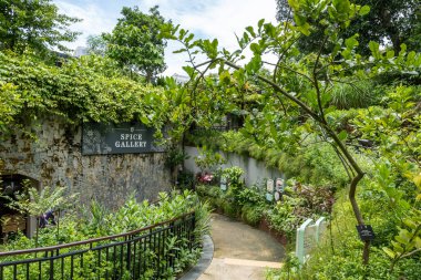 Baharat bahçesi ve çeşitli baharat ve bitkilerle dolambaçlı giriş. Singapur 'daki Fort Canning Park' ta çekildi.