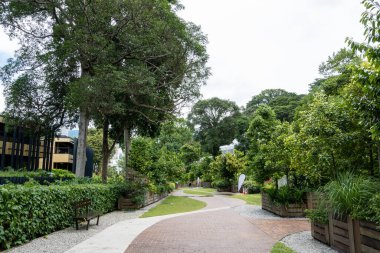 Etrafı ağaçlarla ve bitkilerle çevrili Fort Canning Park boyunca bir patika. Singapur 'daki ünlü park.