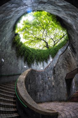 Fort Canning Park Ağaç Tüneli aşağıdan görünüyor. Singapur 'da ünlü bir fotoğraf yeri.