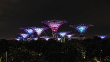 Körfez süperağaç ışık gösterisinin olduğu bahçeler uzaktan izleniyor. Singapur 'da ünlü bir seyahat yeri.