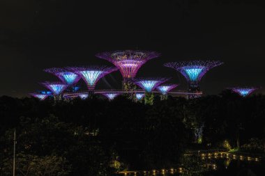 Körfez süperağaç ışık gösterisinin olduğu bahçeler uzaktan izleniyor. Singapur 'da ünlü bir seyahat yeri.