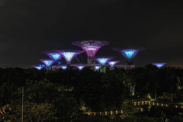 遠くから見たベイスーパーツリーライトショーによる庭園 シンガポールの有名な旅行先 — ストック写真