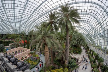 Koyun kenarındaki Bahçeler 'deki Çiçek Kubbesi' nde çeşitli bitki ve ağaçlar var. 8 Ekim 2022 'de Singapur' da ünlü bir seyahat merkezi.