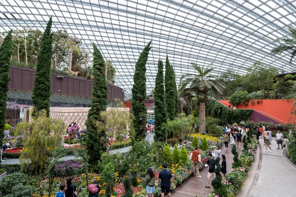 Květinový Dóm Zahradách Zátoky Různými Flórami Stromy Slavná Destinace Singapuru — Stock fotografie