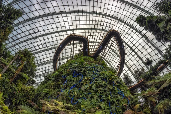 Mraky Procházka Svěží Rostliny Dole Cloud Forest Zahradách Zálivu Singapuru — Stock fotografie