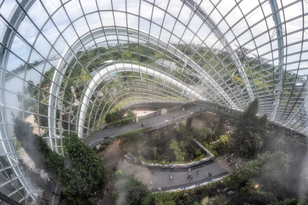 Туристы Прогуливаются Облакам Время Тумана Облачном Лесу Садах Залива Сингапура — стоковое фото