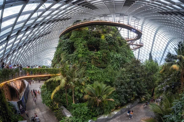Хмарний Ліс Видом Довколишню Рослинність Тумані Забраний Садах Бухтою Сінгапурі — стокове фото