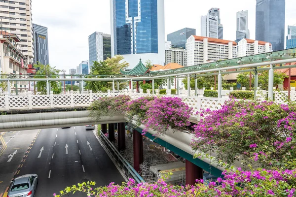 有名な中華街歩行者専用橋は シンガポールのガーデンリンクブリッジとも呼ばれます 2022年10月10日撮影 — ストック写真