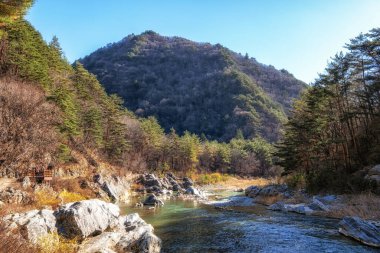 Gangneung, Gangwondo 'daki Nochusan Dağı' nda dağın içinden akan tatlı dere suyuyla..