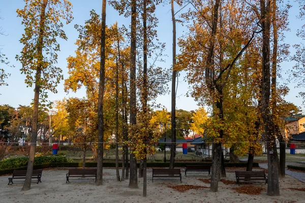 后根和后南雪川纪念公园拍摄于秋季季节 在南韩关农拍摄 — 图库照片
