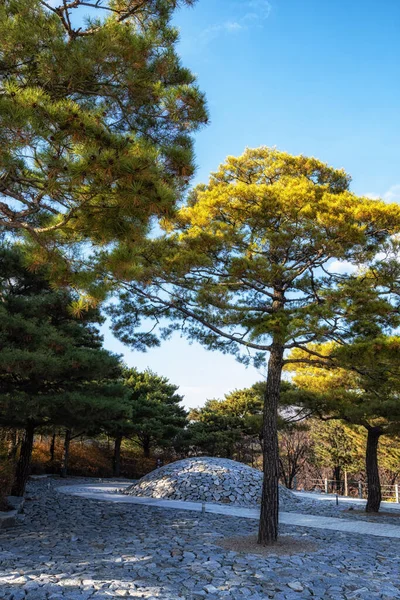 Varios Montículos Rocas Museum San Rock Garden Wonju Corea Del — Foto de Stock