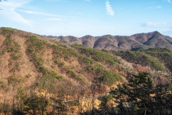 韓国元州の近くの博物館の山を囲む — ストック写真