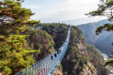 Sogeumsan süspansiyon kuş bakışı ve etrafındaki çam ağacı ormanı. Wonju, Güney Kore 'de ünlü bir turist merkezi. 12 Kasım 2022 'de çekildi.