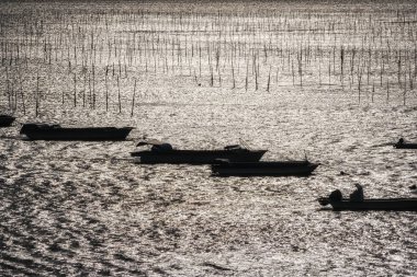 Güney Kore 'nin Sinan İlçesi açıklarındaki çeşitli balıkçı teknelerinin manzarası. Gün batımında çekilen