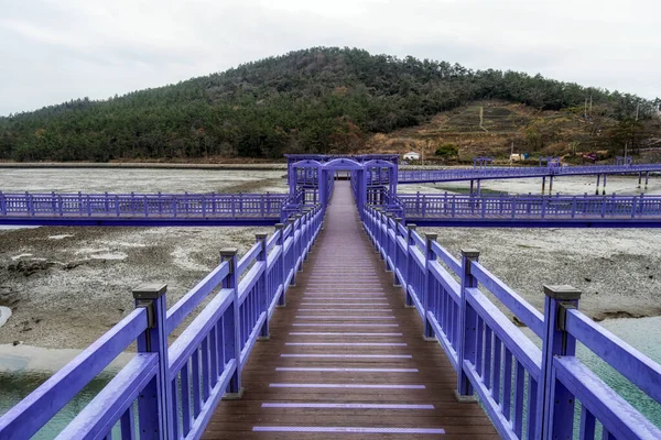 보라색 다리와 보도가 자주색 의시난에 관광지 스톡 사진
