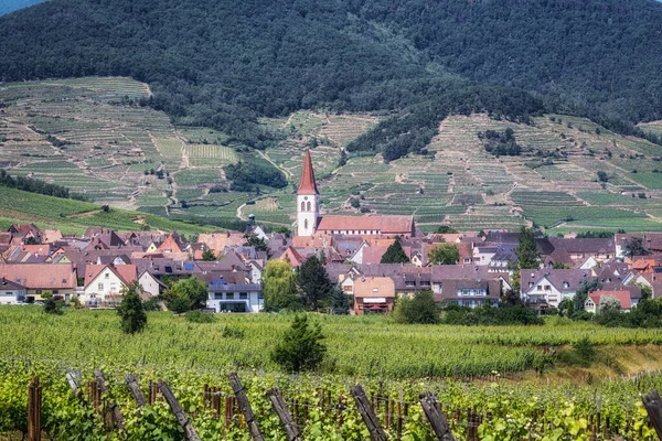 stock image The view of Ammerschwihr and famous grand cru vine yards of alsace. Taken in Alsace region, France