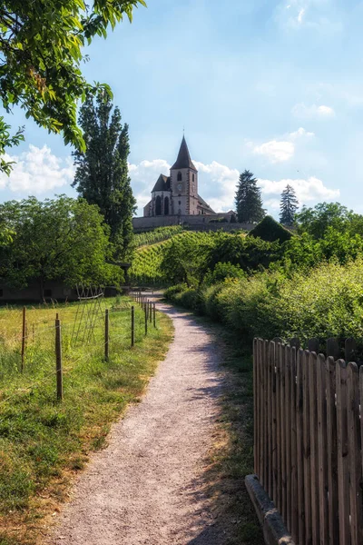 ハンガリーの古い要塞化された教会はブドウ畑に囲まれている フランスのHunawhirで撮影 — ストック写真