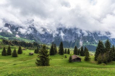 Grindelwald 'da yürüyüş yapanlar ve bisikletler için küçük bir yol. İsviçre 'nin ünlü turistik beldesi.