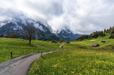 Grindelwald 'da yürüyüş yapanlar ve bisikletler için küçük bir yol. İsviçre 'nin ünlü turistik beldesi.