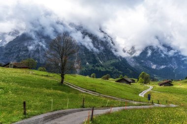 Grindelwald 'da yürüyüş yapanlar ve bisikletler için küçük bir yol. İsviçre 'nin ünlü turistik beldesi.