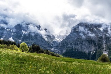 Grindelwald 'da yürüyüş yapanlar ve bisikletler için küçük bir yol. İsviçre 'nin ünlü turistik beldesi.