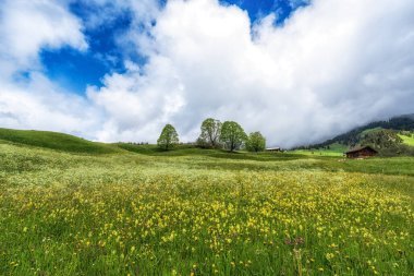 Grindelwald 'daki geniş vadi ve tarım arazileri bulutlarla kaplıydı. İsviçre 'nin ünlü turistik beldesi.
