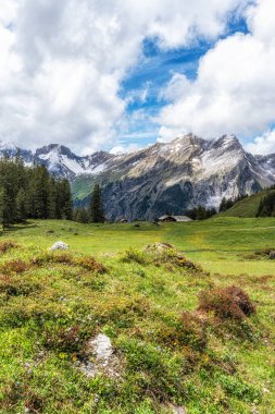 Oeschinensee göl yürüyüş yolu boyunca çeşitli Bernese Alpleri dağ manzaraları. İsviçre, Kanderstag 'da çekildi.