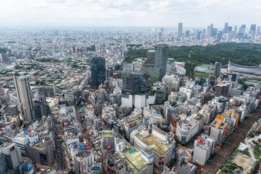 Shibuya 'nın yakınındaki bir gözlem güvertesinden Tokyo' nun görüntüsü. 13 Temmuz 2024 'te Shibuya, Tokyo, Japonya' da çekildi.
