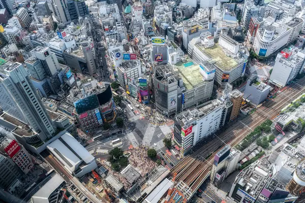 Shibuya Scramble Crossing tepeden görüldü. Yakınlardaki gözlem güvertesinden yakalanan ünlü bir simge. 13 Temmuz 2024 'te Shibuya, Japonya' da çekildi.