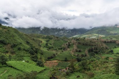 Sabahın erken saatlerinde çekilmiş Sapa Green Tea çiftliğinin görüntüsü. Sapa, Vietnam 'daki ünlü bakış açısı