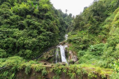Sapa şelalesi yemyeşil ormanlarla çevrili. Sapa, Vietnam
