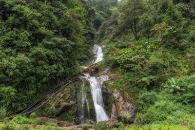 Sapa şelalesi yemyeşil ormanlarla çevrili. Sapa, Vietnam