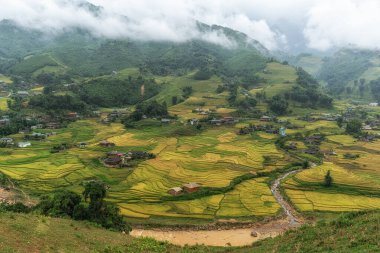 Sapa pirinç tarlası hasat mevsiminde Lao Chai 'nin yakınından çekildi. Dağlar ve tarlalar pirinç tarlalarına oyulmuş. Sapa, Vietnam 'ın ünlü simgesi.