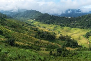 Sapa Vietnam 'daki pirinç teraslarının arasındaki dağ ve tepelerin manzarası