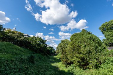 Nagoya Kalesi 'nin doğu kapısındaki terk edilmiş hendek bölgesinde ağaçlar ve çimenler büyüyor. Nagoya, Japonya 'da çekildi.