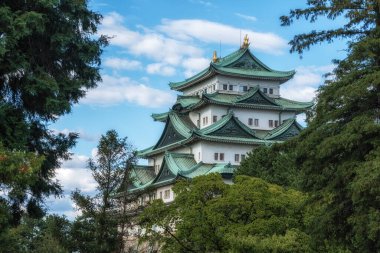 Nagoya Kalesi 'nin manzarası. Çam ağaçlarının arasında ünlü ikonik bir Japon sarayı. Nagoya, Japonya 'da çekildi.