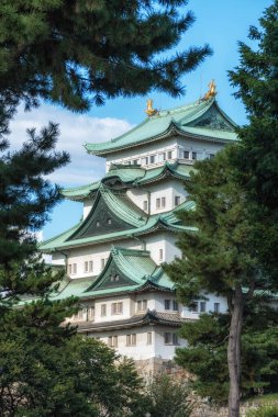 Nagoya Kalesi 'nin manzarası. Çam ağaçlarının arasında ünlü ikonik bir Japon sarayı. Nagoya, Japonya 'da çekildi.