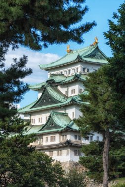 Nagoya Kalesi 'nin manzarası. Çam ağaçlarının arasında ünlü ikonik bir Japon sarayı. Nagoya, Japonya 'da çekildi.