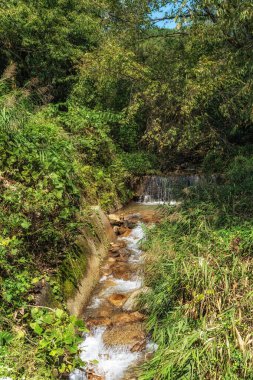 Nakasendo yürüyüş yolu. Yakınlarda küçük bir dere var. Kiso Vadisi Bölgesi 'nde meşhur patika..