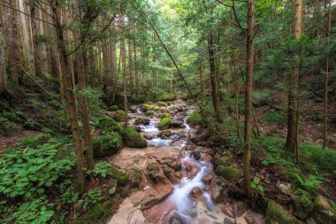 Magome 'dan Tsumago' ya Nakasendo Patikası yakınlarında küçük bir dere. Kiso Vadisi Japonya 'da ünlü yürüyüş parkuru.