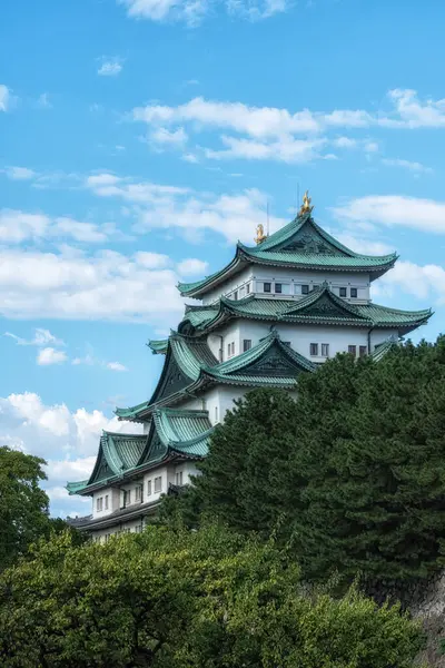 Nagoya Kalesi 'nin manzarası. Çam ağaçlarının arasında ünlü ikonik bir Japon sarayı. Nagoya, Japonya 'da çekildi.