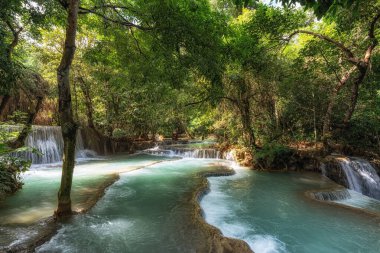 Çeşitli turkuaz renkli su birikintileri ve şelaleler yemyeşil ormanlarla çevrili. Luang Prabang, Laos 'taki Kuang Si Şelalelerinde çekildi.