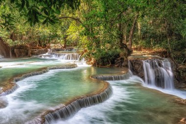 Çeşitli turkuaz renkli su birikintileri ve şelaleler yemyeşil ormanlarla çevrili. Luang Prabang, Laos 'taki Kuang Si Şelalelerinde çekildi.